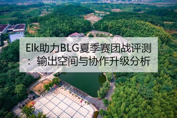 Elk助力BLG夏季赛团战评测：输出空间与协作升级分析